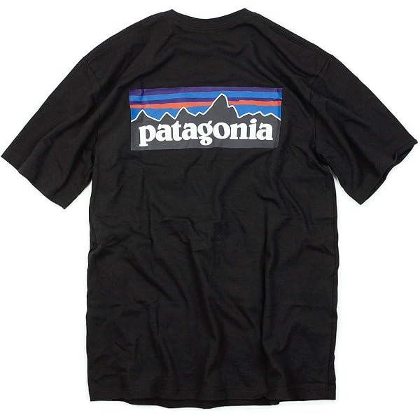 Amazon | [パタゴニア] P-6 LOGO T-SHIRT 62148 Tシャツ レディース